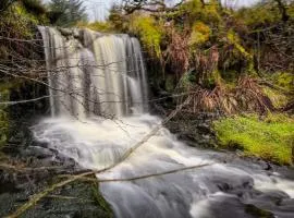 Glenariff Forest Getaway