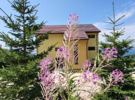 Pension Valea Mariei，位于兰卡的豪华型酒店