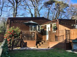The Chalet In The New Forest - 5 km from Peppa Pig!，位于南安普敦的木屋