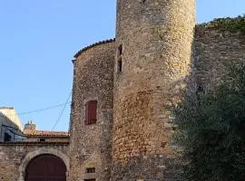 Gîtes de la place du château