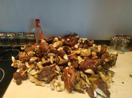 Grzyby, ryby, ferie, Własny pomost, kajak, kominek, grill, ognisko raj nad wodą, BRZÓZKI 1，位于Barkowice的酒店