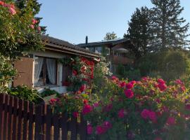 Jolie chambre dans chalet，位于Le Vaud的酒店