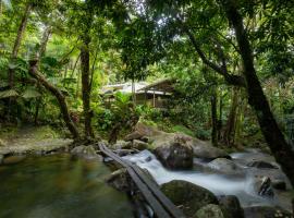 Daintree Secrets Rainforest Sanctuary，位于Diwan的酒店