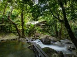 Daintree Secrets Rainforest Sanctuary