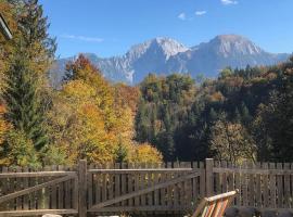 Alte Mühle mit wunderbarem Bergblick，位于拉姆绍的酒店