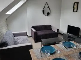 APPARTEMENT DE GUISE 10