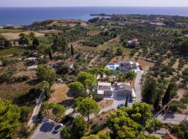 Alekos Beach Houses-Akrotiri Suites，位于Kounopetra的酒店