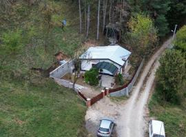 Vikendica Borik，位于Miričina的酒店
