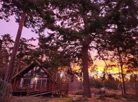 Rustic A-Frame hot tub retreat near Deception Pass