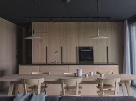 Design Apartment im Salzkammergut，位于萨尔茨堡附近霍夫的酒店