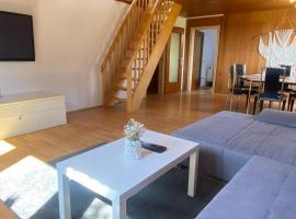 Apartmenthaus Selbitz，位于塞尔比茨的酒店