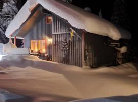 Cozy mountain house in Jämtland，位于Vallrun的别墅