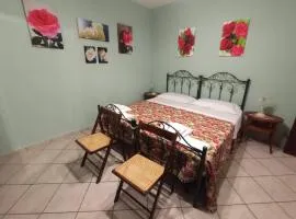 I Fiori di AminA "Le Rose"