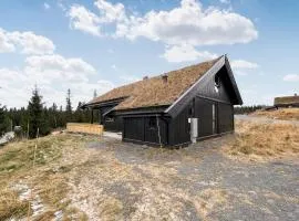 Cozy Home In Sjusjøen With Kitchen