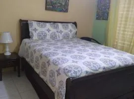 Elegant & Stylish 2BR New Kingston