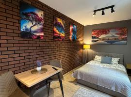 Apartamenty 1 maja 94 Katowice，位于卡托维兹的酒店