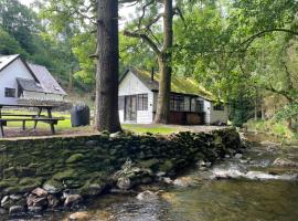 Cuckoo Cabin, Tyn Y Cwm，位于Eglwys-fach的酒店