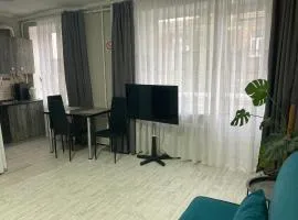 Apartment Artynova 29