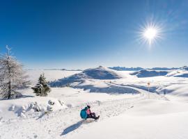 Feriennest Ossiachersee，位于博登斯多夫的公寓