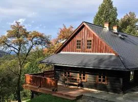 Chalupa Řeka - Na samotě u lesa