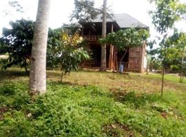 Jungle lodge，位于波特尔堡的酒店