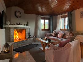 Chalet Arachova - Breathtaking View，位于阿拉霍瓦的酒店