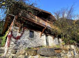 300-year-old Farmhouse Chalet，位于塞尔沃兹的酒店