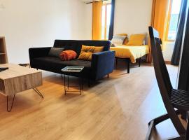 Appartement centre Ville Carmaux，位于Carmaux的酒店