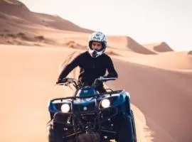 Merzouga desert camel