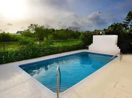 3 bedrooms luxurious pool house centrally located close to everything
