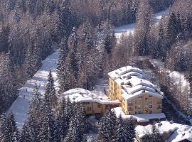 百乐酒店，位于佛加里达的酒店