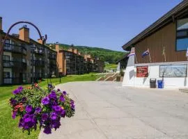 Okemo Mountain Lodge Condominiums