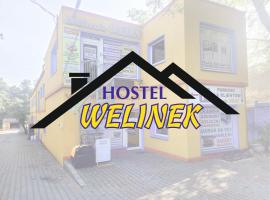 Hostel WELINEK gratis parking，位于Stęszew的酒店