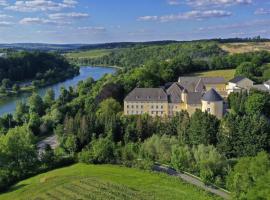 Schloss Thorn，位于Palzem的旅馆