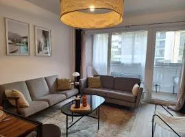 Grand appartement lumineux au cœur de Thonon