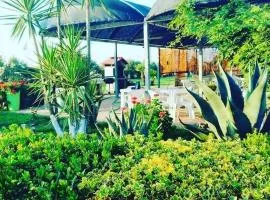 La Tenuta del Passero