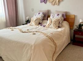 Espectacular Depto en Pucon 5 Estrellas，位于普孔的酒店