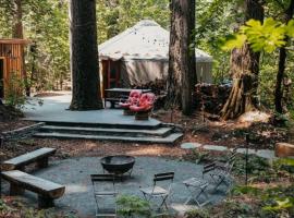 Your private Yurt in the woods - Nevada City，位于Forest Knolls的家庭/亲子酒店