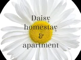 Daisy homestay & apartment