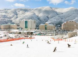 Vivaldi Park，位于洪川郡的酒店