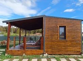 Forest relax house near Oradea -pet friendly free private parking