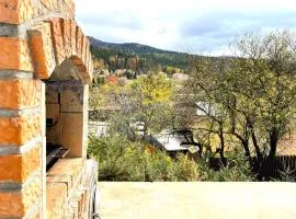Alpine Cottage w. Mountain View
