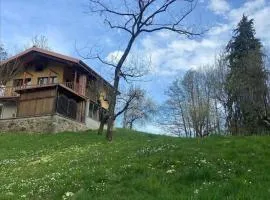 Il nocciòlo di Daisy
