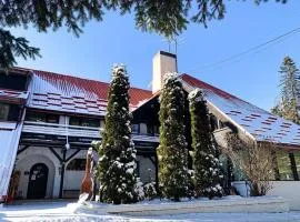 Breza Hotel Borovets