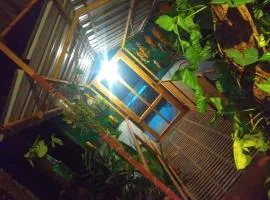 Munnar home stay Teadrops plantation villa
