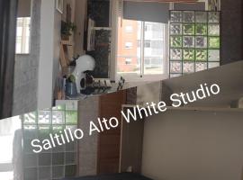SALTILLO ALTO WHITE STUDIO，位于多列毛利诺斯的家庭/亲子酒店