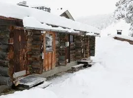 Classic Log Cabin Ski-in Ski-out