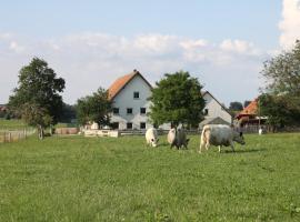 Ferienwohnung auf dem Traubshof，位于奥克森豪森的低价酒店