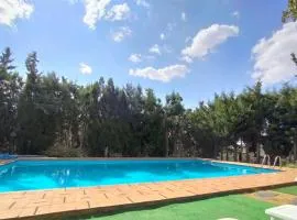 Pozuelo 1 JABUGO