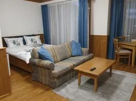 Pirin Golf Studio & Apartment 4